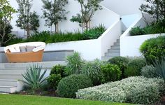 modern-australian-gardens-70_19 Модерни австралийски градини