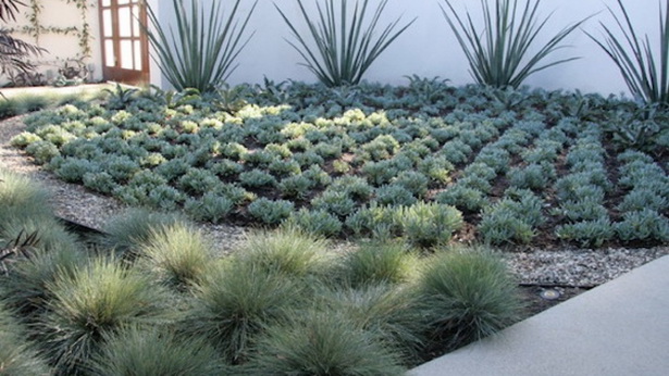 modern-desert-landscaping-82_10 Модерно пустинно озеленяване