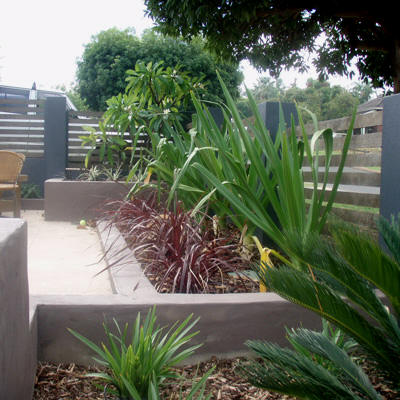 modern-garden-design-plants-59_17 Модерни градински дизайн растения