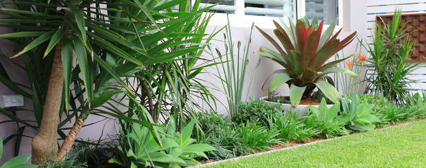 modern-garden-plants-landscaping-66 Модерни градински растения озеленяване
