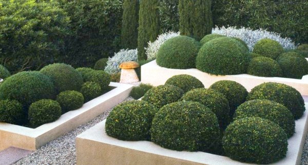 modern-landscaping-shrubs-03 Модерни озеленяване храсти