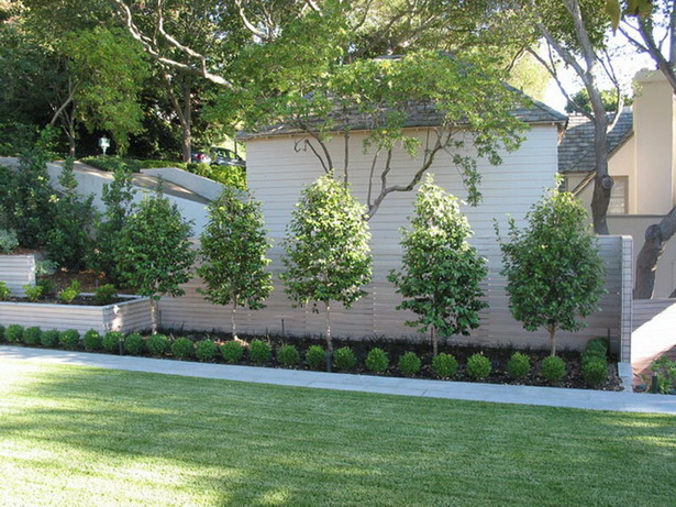 modern-landscaping-shrubs-03_4 Модерни озеленяване храсти