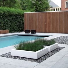modern-pool-landscaping-55_11 Модерно озеленяване на басейни