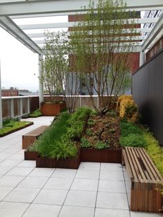 modern-roof-garden-design-11_13 Модерен дизайн на покривната градина
