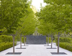 modern-trees-landscaping-60_2 Модерни дървета озеленяване