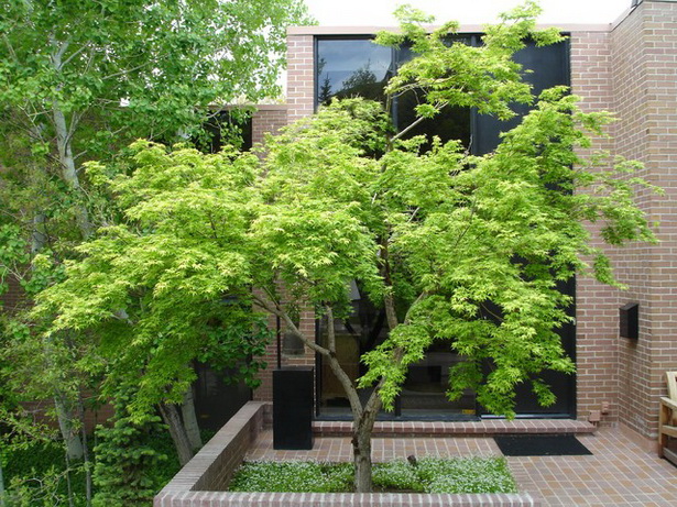 modern-trees-landscaping-60_3 Модерни дървета озеленяване