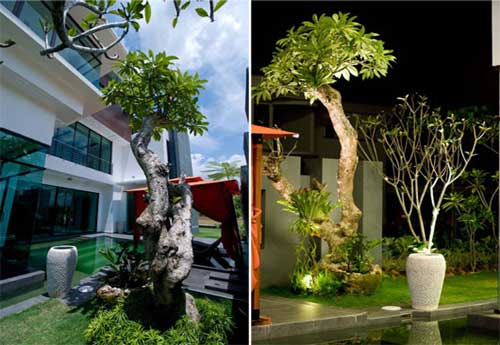 modern-tropical-garden-design-69_17 Модерен дизайн на тропическа градина