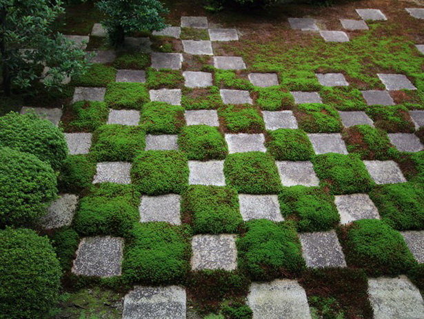 moss-garden-design-19_19 Мос градина дизайн