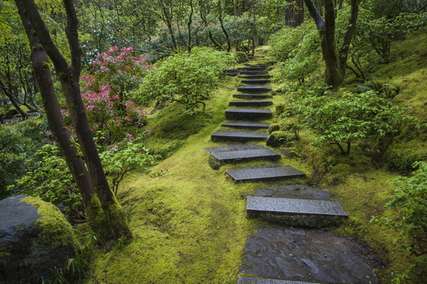 moss-japanese-garden-54_5 Мъх японска градина