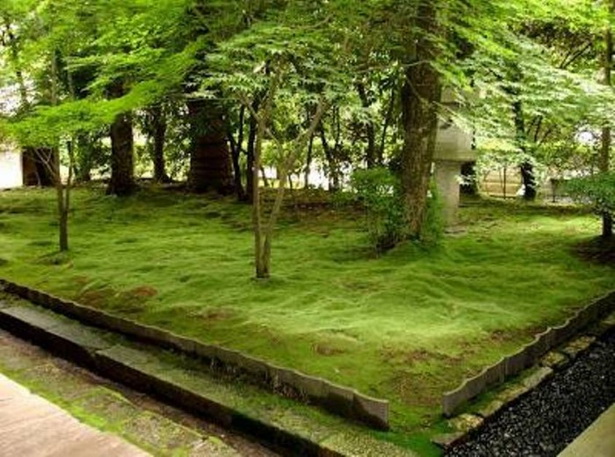 moss-japanese-garden-54_8 Мъх японска градина