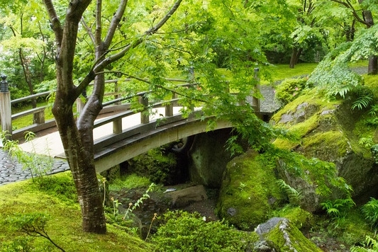 moss-japanese-garden-54_9 Мъх японска градина