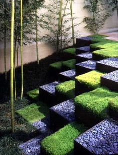 moss-landscape-design-88_6 Мос ландшафтен дизайн