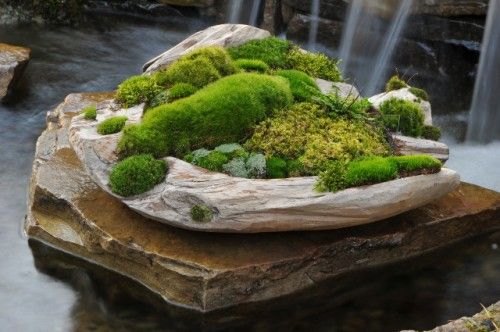 moss-rock-garden-design-17_11 Мос рок градина дизайн