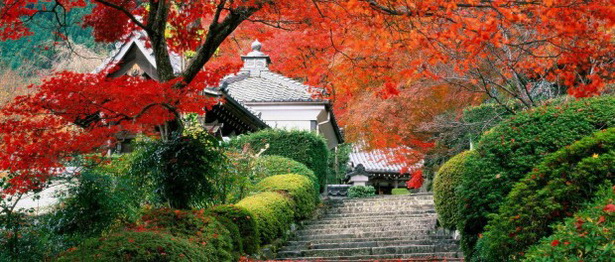 most-beautiful-japanese-gardens-61_11 Най-красивите японски градини