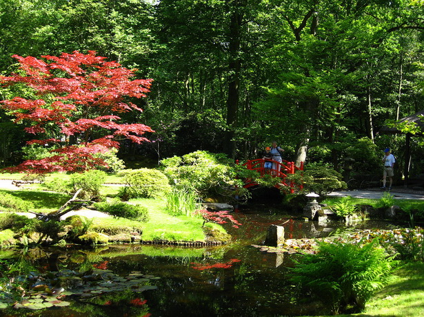 most-beautiful-japanese-gardens-61_13 Най-красивите японски градини