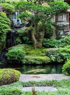 most-beautiful-japanese-gardens-61_19 Най-красивите японски градини