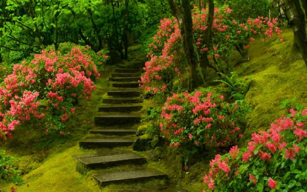most-beautiful-japanese-gardens-61_4 Най-красивите японски градини