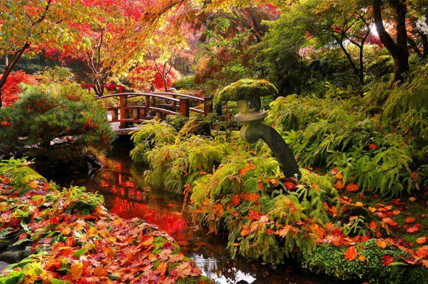 most-beautiful-japanese-gardens-61_5 Най-красивите японски градини