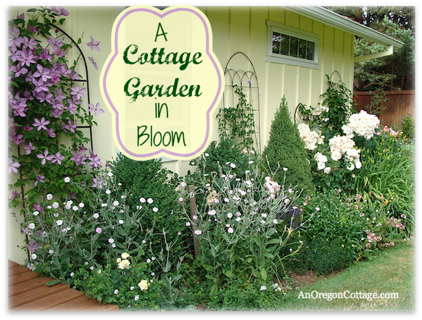 my-cottage-garden-66 Моята вила градина