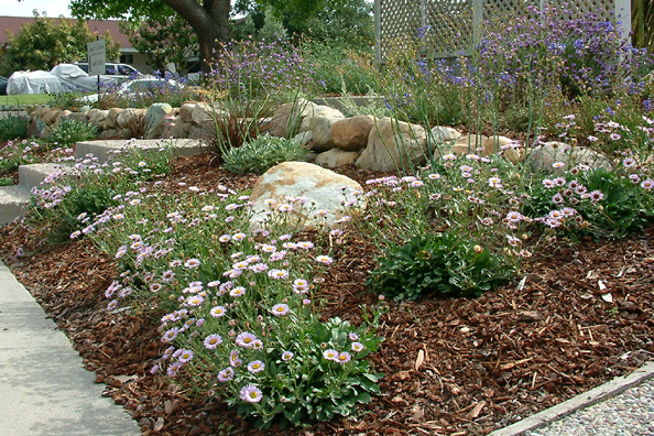 native-garden-design-ideas-54_4 Идеи за градински дизайн