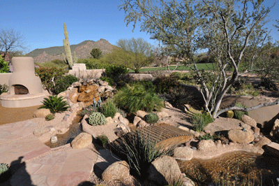 natural-desert-landscaping-15 Натурално пустинно озеленяване