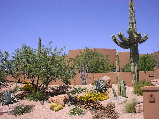 natural-desert-landscaping-15_9 Натурално пустинно озеленяване