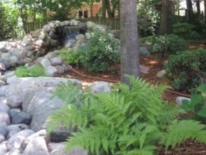 natural-landscaping-ideas-82_12 Идеи за естествено озеленяване