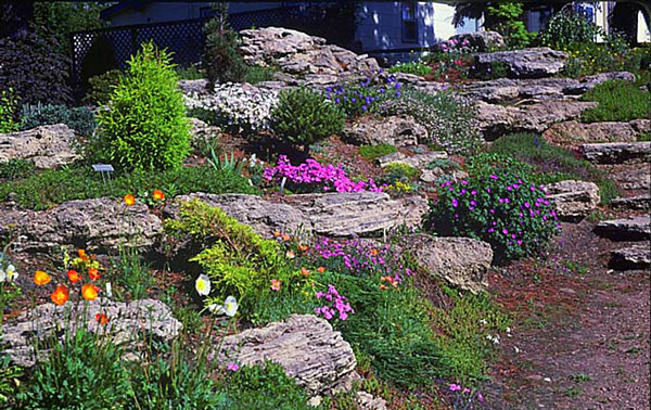 natural-rock-garden-53_18 Естествена алпинеум