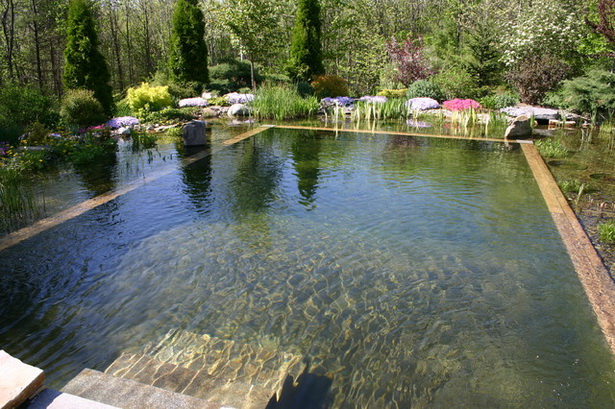natural-swimming-pools-75_18 Естествени басейни