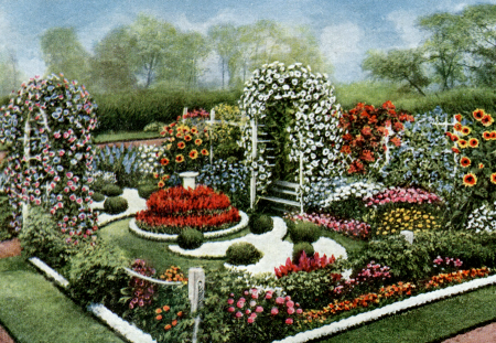 old-fashioned-flower-garden-20 Старомодна цветна градина