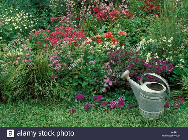 old-fashioned-flower-garden-20_3 Старомодна цветна градина