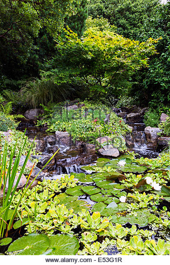 ornamental-garden-rocks-32_7 Декоративни градински скали