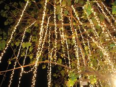 outdoor-hanging-lanterns-for-trees-19_9 Външни висящи фенери за дървета