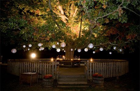 outdoor-hanging-tree-lights-67_14 Открит висящи дърво светлини
