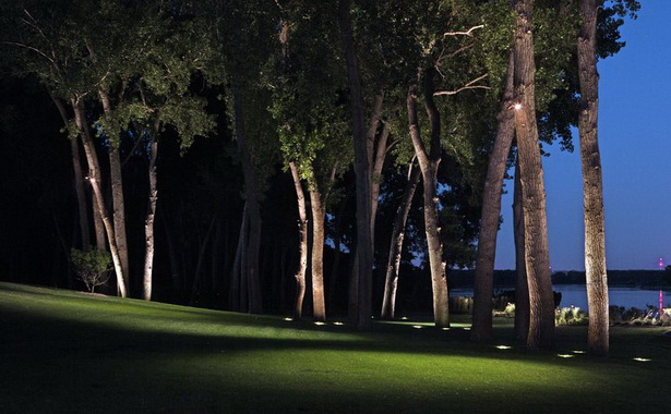 outdoor-lighting-ideas-for-trees-76_13 Идеи за външно осветление за дървета