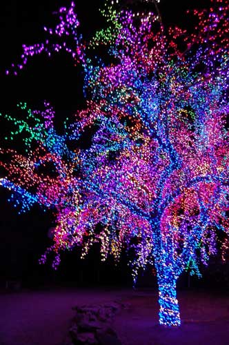 outdoor-lights-for-trees-98_10 Външно осветление за дървета