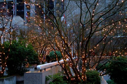 outdoor-lights-for-trees-98_14 Външно осветление за дървета