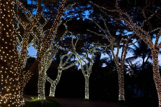 outdoor-lights-for-trees-98_16 Външно осветление за дървета