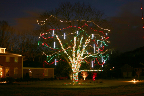 outdoor-lights-for-trees-98_3 Външно осветление за дървета
