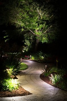 outdoor-path-lighting-ideas-73_6 Идеи за външно осветление