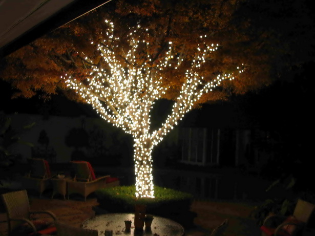 outdoor-tree-lighting-ideas-77_12 Открито дърво осветление идеи