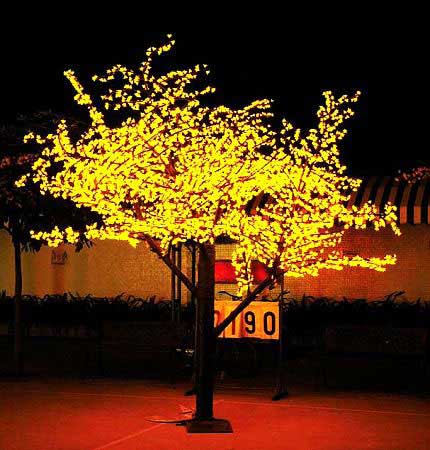 outdoor-tree-lighting-ideas-77_16 Открито дърво осветление идеи