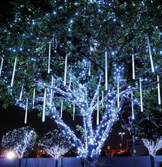 outdoor-tree-lighting-ideas-77_4 Открито дърво осветление идеи