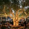 outdoor-tree-lighting-ideas-77_8 Открито дърво осветление идеи