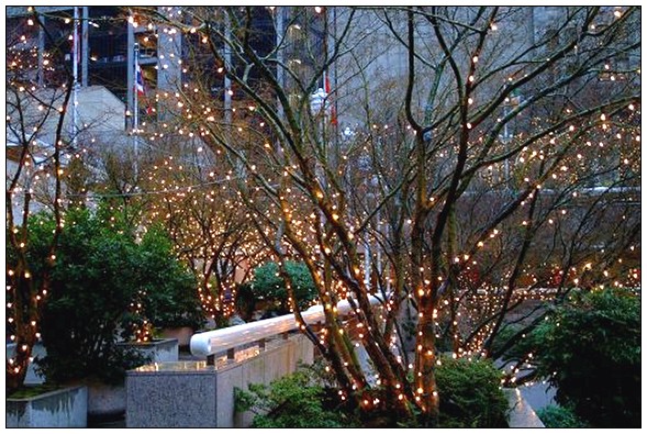 outdoor-tree-lights-19_10 Открито дърво светлини