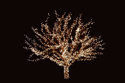 outdoor-tree-lights-19_14 Открито дърво светлини