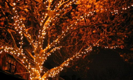 outdoor-tree-lights-19_2 Открито дърво светлини