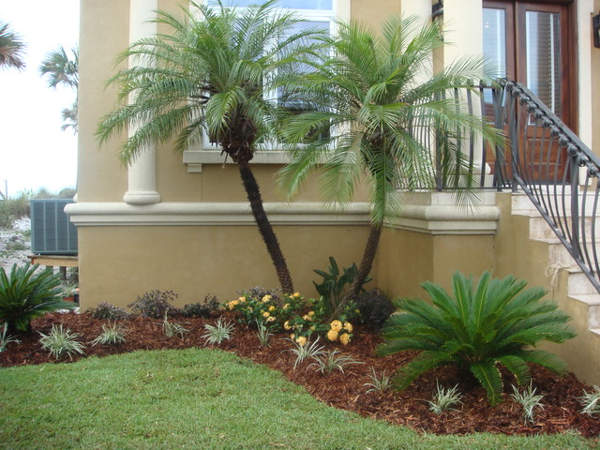 palm-tree-landscape-design-ideas-87 Идеи за ландшафтен дизайн на палмово дърво