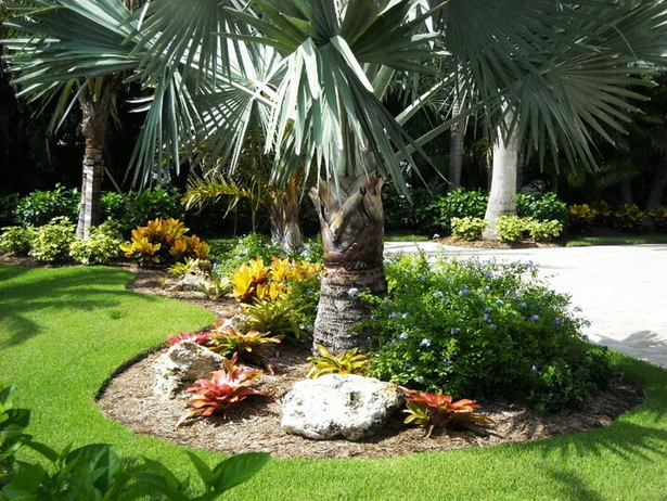 palm-tree-landscape-design-ideas-87_14 Идеи за ландшафтен дизайн на палмово дърво