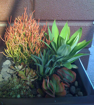 patio-plant-design-08_11 Вътрешен дизайн на растенията